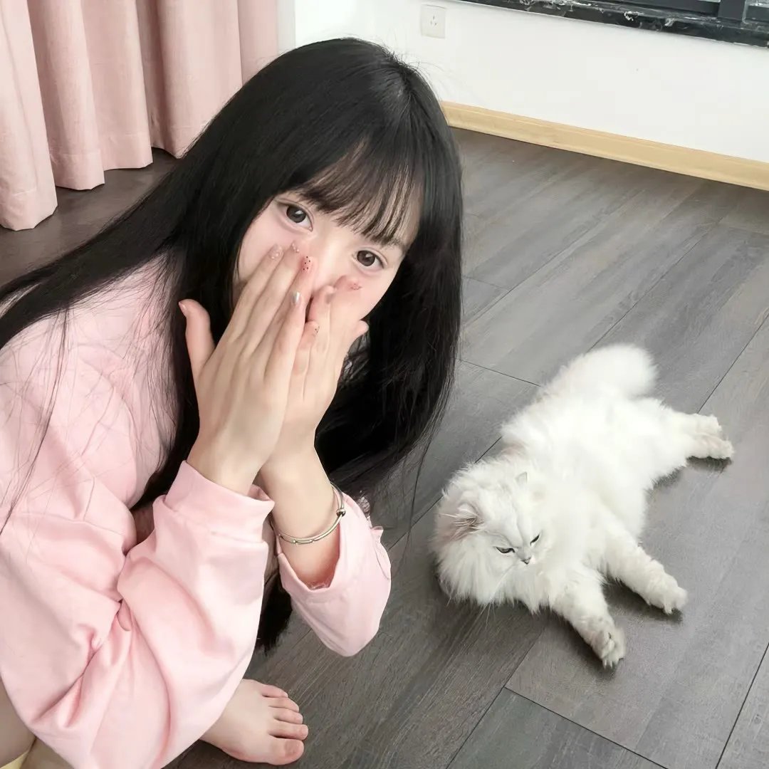 完美家伙